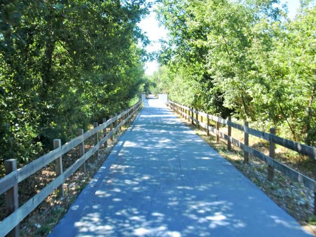 photo CIMG2621_zps3db0ed83.jpg