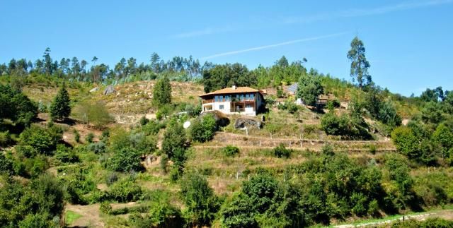 photo CIMG2623_zps7414bfd7.jpg