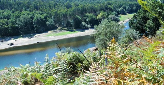 photo CIMG2626_zps14fdd6cd.jpg