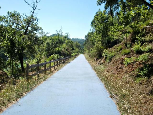 photo CIMG2632_zps1909997d.jpg