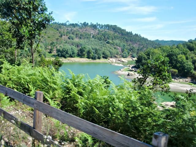 photo CIMG2635_zpse4eec0d4.jpg