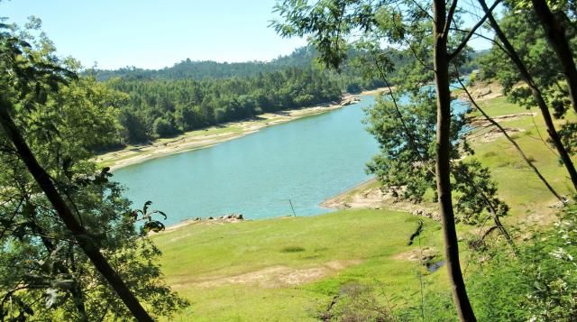 photo CIMG2639_zpse6bcf6ed.jpg