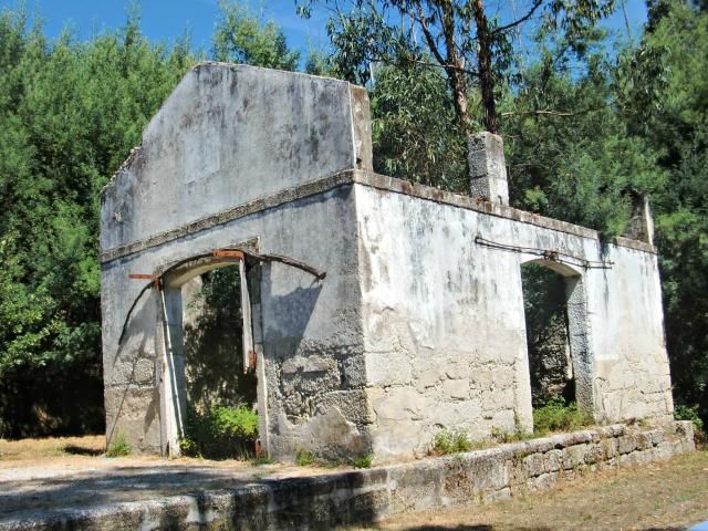 photo CIMG2642_zps5f93dc33.jpg