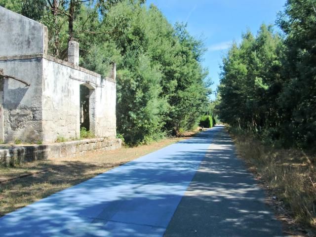 photo CIMG2644_zpsa79da6c2.jpg