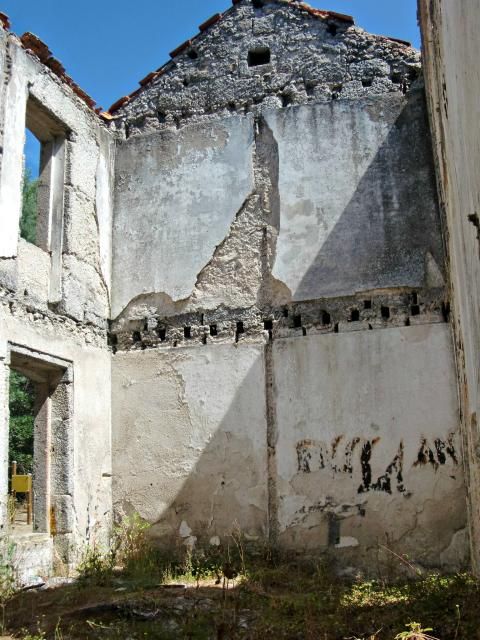 photo CIMG2652_zps045be209.jpg