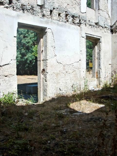 photo CIMG2653_zpsef686fd7.jpg