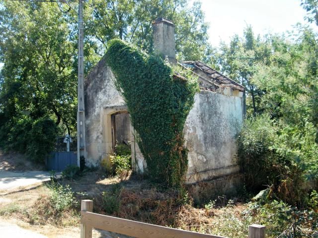 photo CIMG2655_zps9d806500.jpg