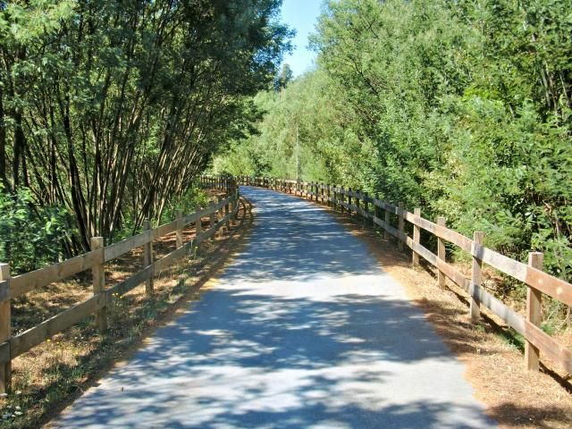 photo CIMG2656_zpsdc66633a.jpg