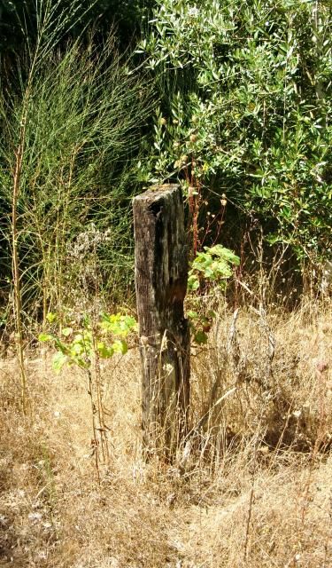 photo CIMG2657_zps0bf42769.jpg