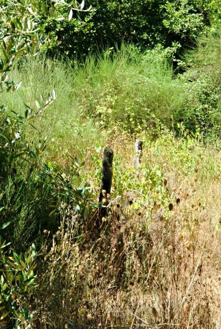 photo CIMG2658_zps1ba3a3c2.jpg