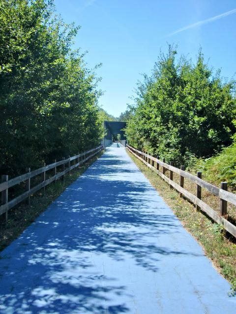 photo CIMG2659_zps8bbc43fc.jpg