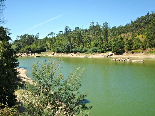 photo CIMG2667_zpsc321e8d0.jpg