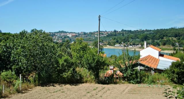 photo CIMG2674_zpsed1c0c27.jpg