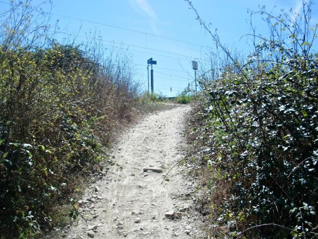 photo CIMG2680_zpsc905ee47.jpg