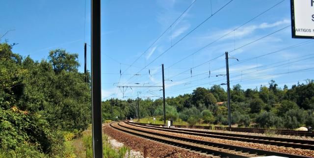 photo CIMG2681_zps7b14a16e.jpg