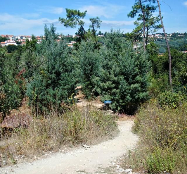 photo CIMG2684_zps1ed30ac3.jpg