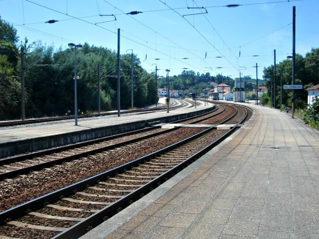 photo CIMG2686_zps5fe9c084.jpg