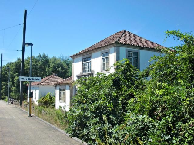 photo CIMG2687_zpse81f39c1.jpg