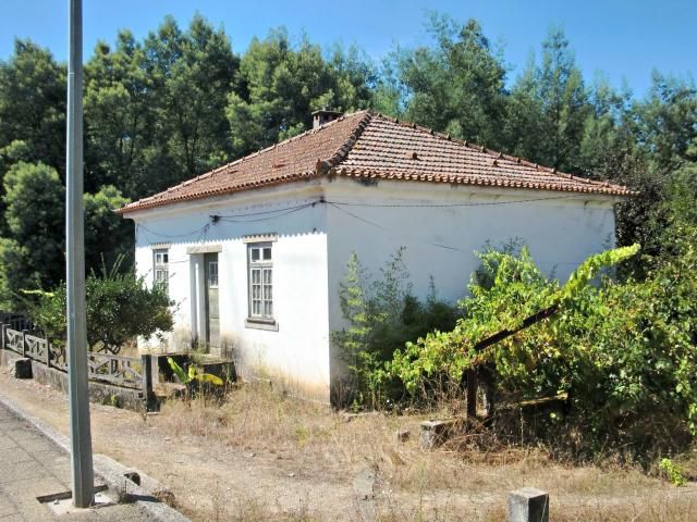 photo CIMG2688_zps86159baf.jpg