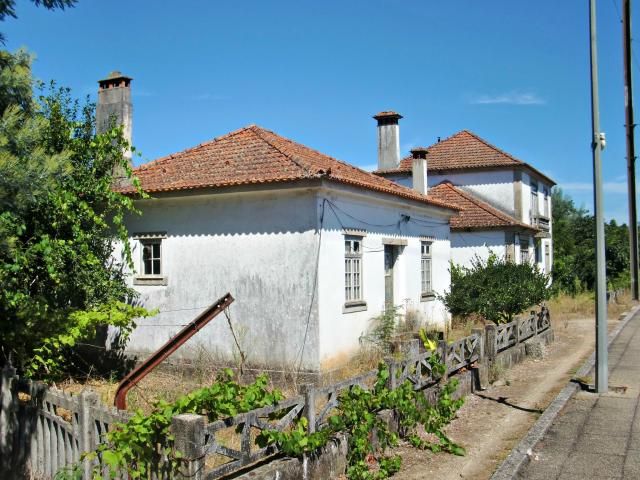 photo CIMG2690_zps7b8aeb4f.jpg