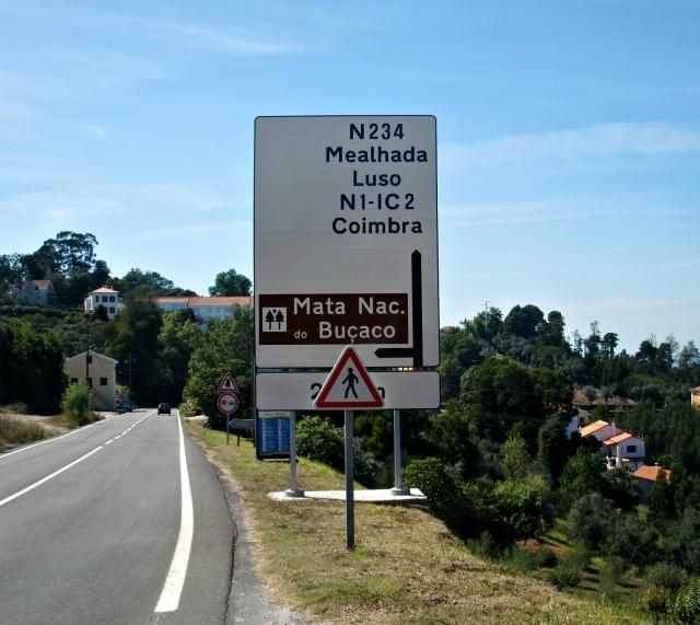 photo CIMG2698_zpsda65a21d.jpg