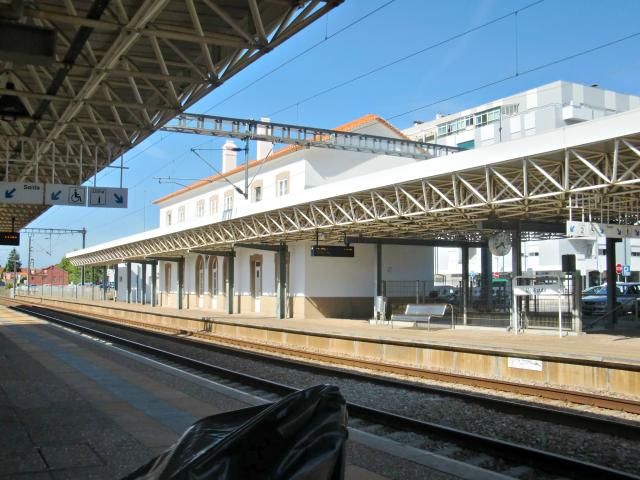 photo CIMG2699_zps11bd80eb.jpg