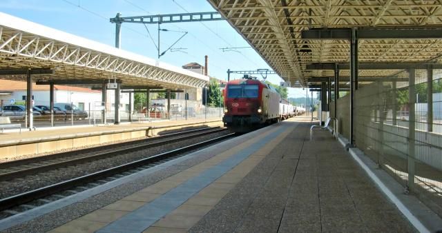 photo CIMG2701_zpsb2a2c64a.jpg