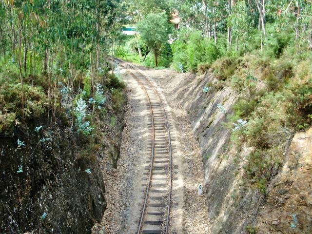 photo CIMG1965_zpsd5f260b2.jpg