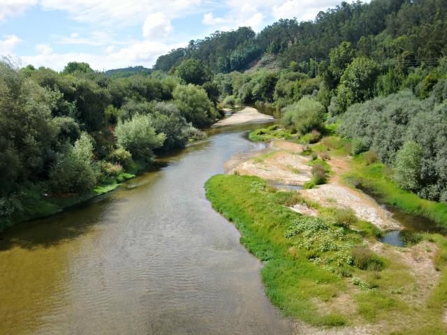 photo CIMG1968_zpsbb260c26.jpg