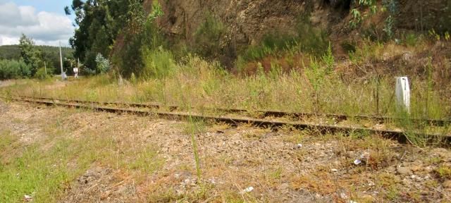 photo CIMG1969_zps56d3f499.jpg