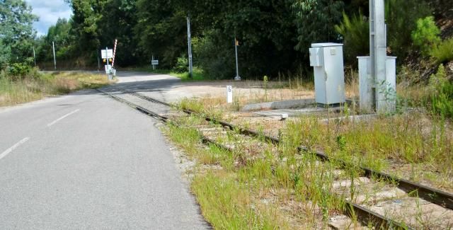 photo CIMG1971_zps88faaf92.jpg