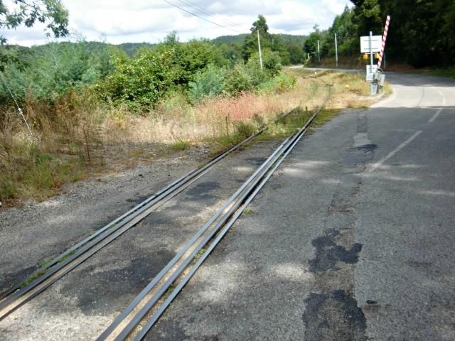 photo CIMG1972_zps5d8c4583.jpg