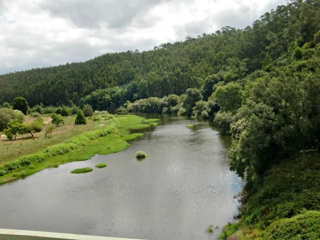 photo CIMG1976_zps853431f3.jpg