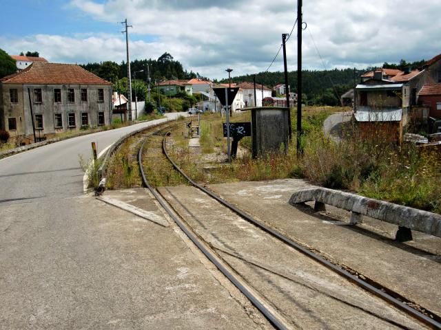 photo CIMG1978_zps3bf78bb1.jpg