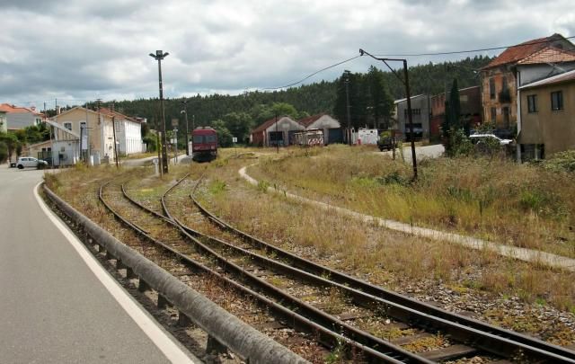 photo CIMG1979_zps2db5b836.jpg