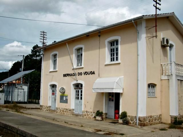 photo CIMG1983_zps3409e64e.jpg