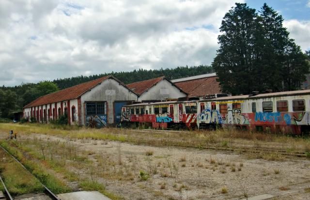 photo CIMG1985_zpsb1bb95b5.jpg