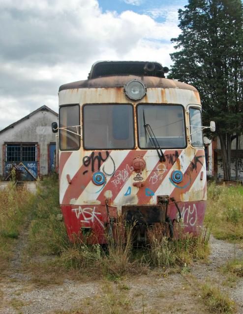 photo CIMG1989_zpsdf128036.jpg