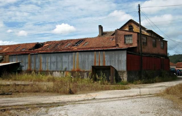 photo CIMG1991_zps20097128.jpg