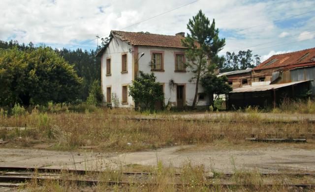 photo CIMG1992_zpse0fb06d0.jpg