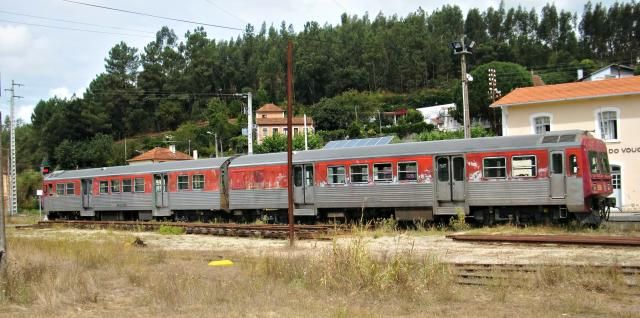 photo CIMG1993_zps7dfdce52.jpg