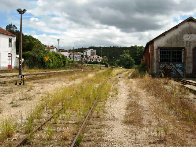 photo CIMG1999_zpsfb92ccc2.jpg