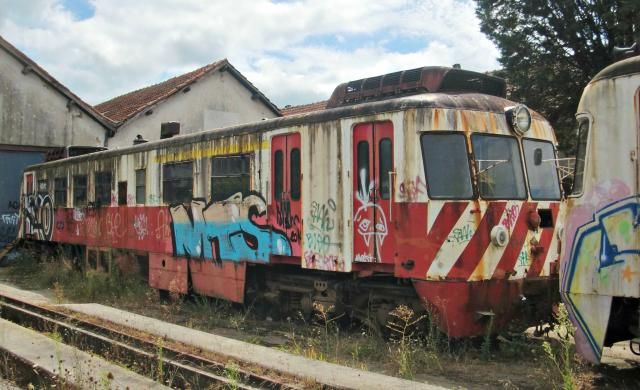 photo CIMG2000_zps925bf62d.jpg