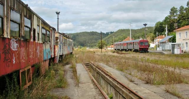 photo CIMG2003_zps5bdcc034.jpg