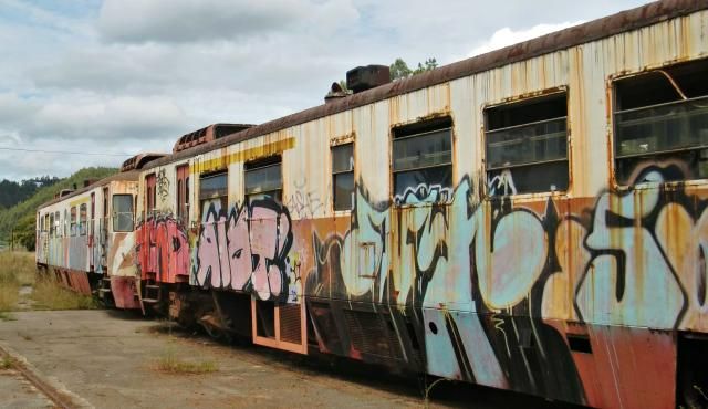 photo CIMG2005_zpsd4021f2d.jpg