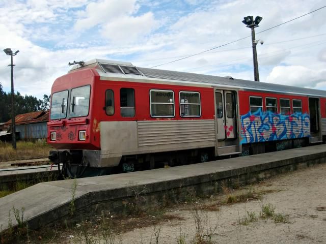 photo CIMG2009_zps04c643f8.jpg