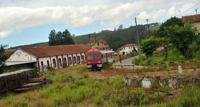 photo CIMG2010_zps2764da74.jpg