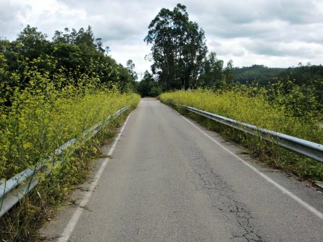 photo CIMG2013_zps73c9e6e6.jpg