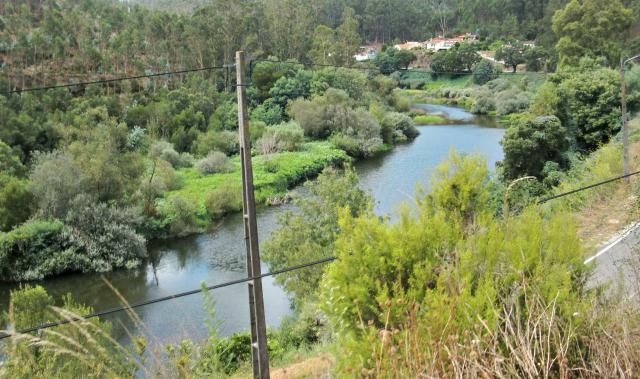 photo CIMG2024_zps922c0452.jpg