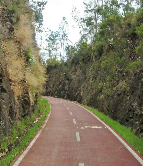 photo CIMG2042_zpsf9541175.jpg